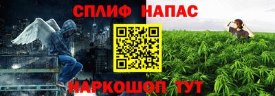 гидропоника Тула