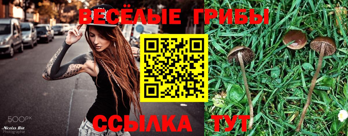 Галлюциногенные грибы Magic Shrooms Ефремов