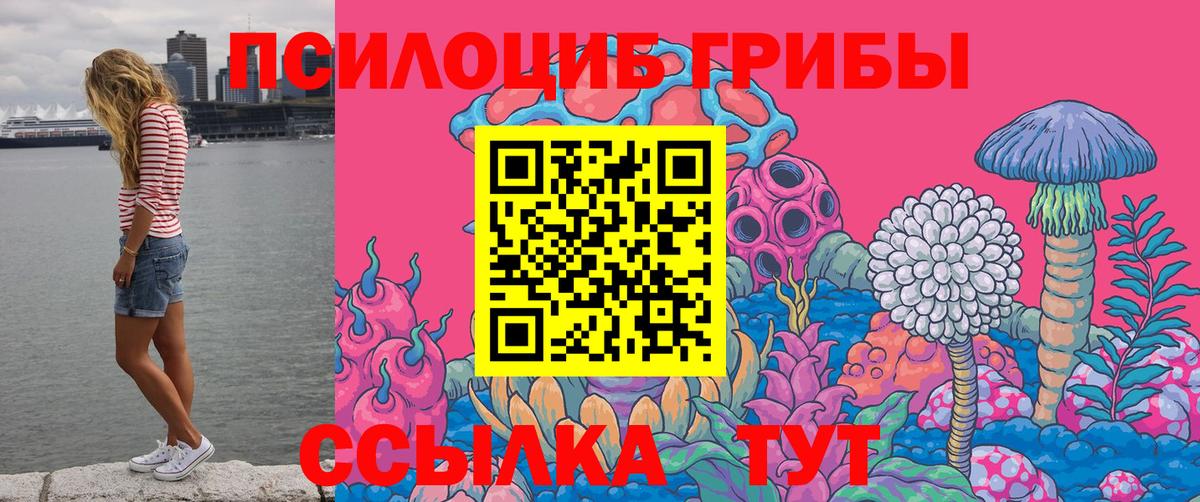 Галлюциногенные грибы мицелий  Псилоцибиновые грибы MAGIC MUSHROOMS  Ефремов  Вход с VPN 