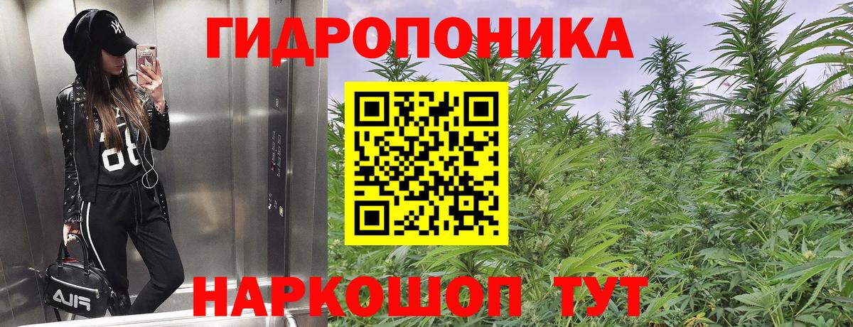Каннабис THC 21%  Конопля OG Kush  Ефремов  Вход с VPN  Марихуана White Widow  Каннабис планчик 